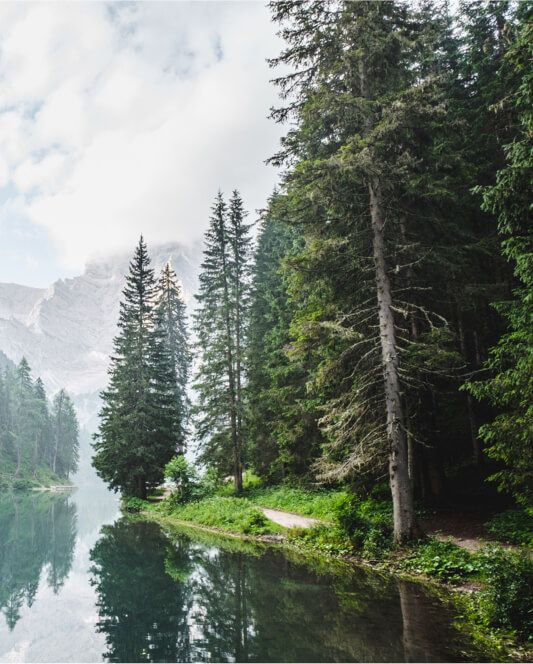 Candidature Spontanée 1