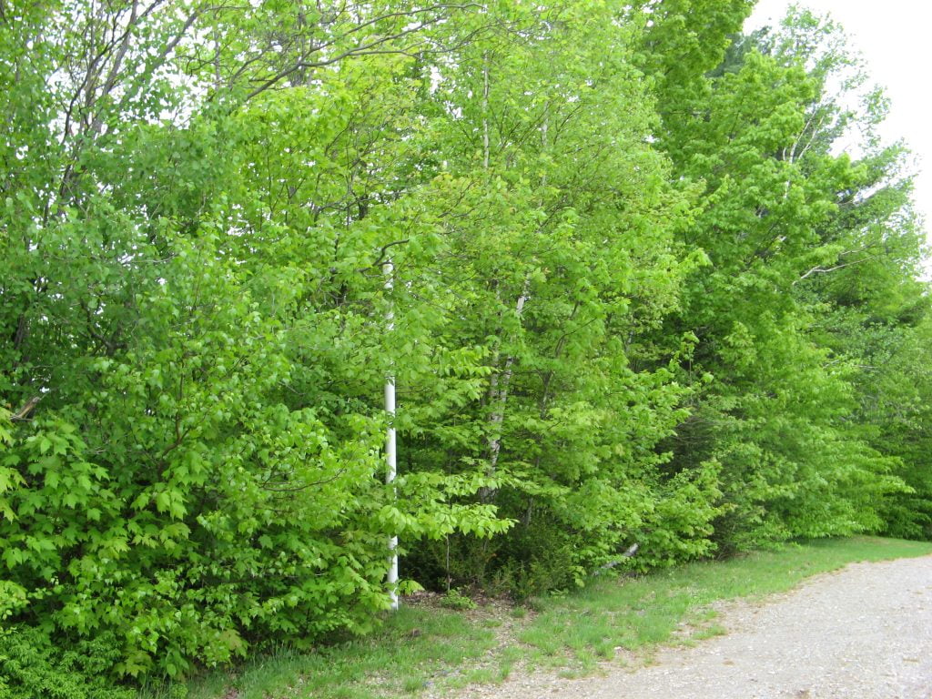 Septic System for a Lakeside Campground in Quebec - Case Study 3