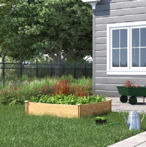 Un potager sur mon installation septique? C'est possible! 2 potager