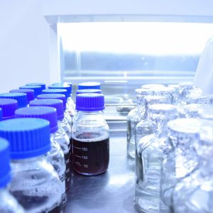 coliformes fécaux installation septique autonome résidence isolée