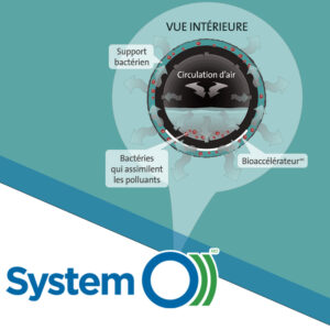 Eaux usées: le traitement passif 2 Eaux usées: le traitement passif 2